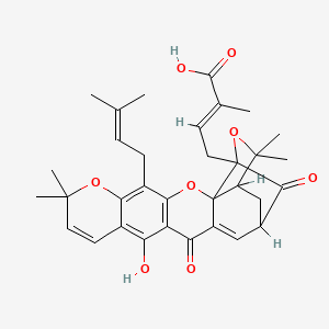 molecular formula C33H36O8 B1240200 Isomorellic acid 