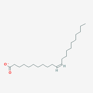molecular formula C22H41O2- B1240206 Cetoleate 