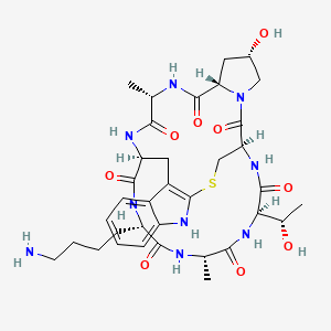 molecular formula C35H49N9O9S B12402257 (Lys7)-Phalloidin 