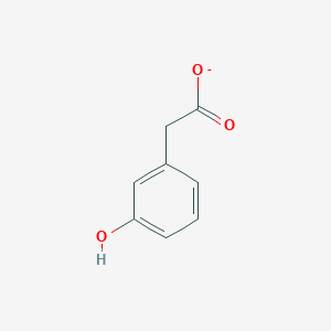 molecular formula C8H7O3- B1240281 3-Hydroxyphenylacetate 
