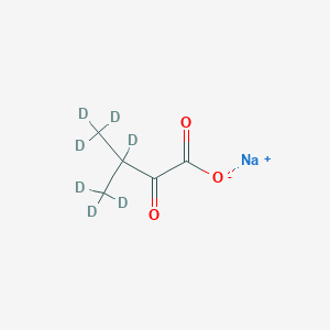 molecular formula C5H7NaO3 B12402938 Sodium 3-methyl-2-oxobutanoate-d7 