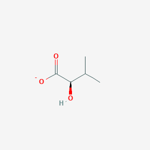 (2R)-2-hydroxy-3-methylbutanoate
