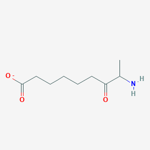 8-amino-7-oxononanoate