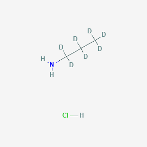 molecular formula C3H10ClN B12404442 n-Propyl-amine-d7 (Hydrochloride) 