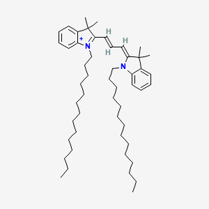 molecular formula C51H81N2+ B1240446 Ditetradecylindocarbocyanine CAS No. 84109-09-1