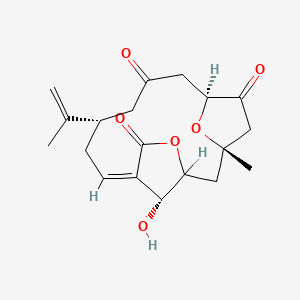 molecular formula C19H24O6 B1240451 Sinuleptolide CAS No. 153379-85-2