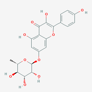 molecular formula C21H20O10 B124050 Kaempferol-7-O-rhamnoside CAS No. 20196-89-8