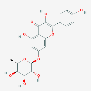 molecular formula C21H20O10 B124050 Kaempferol-7-rhamnoside CAS No. 20196-89-8