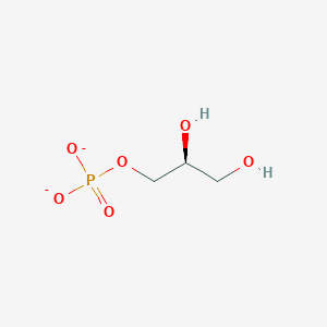 molecular formula C3H7O6P-2 B1240527 Sn-glycerol 1-phosphate(2-) 
