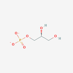 molecular formula C3H7O6P-2 B1240539 Sn-甘油-3-磷酸(2-) 