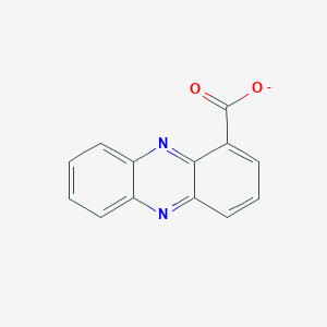 molecular formula C13H7N2O2- B1240584 Phenazine-1-carboxylate 