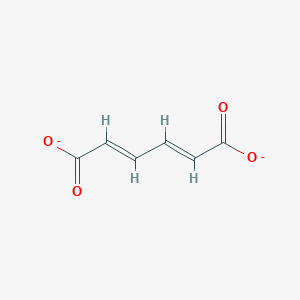 molecular formula C6H4O4-2 B1240615 trans,trans-Muconate 