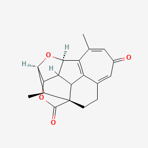 molecular formula C19H18O4 B12406383 Harringtonolide 