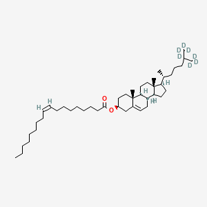 Cholesteryl oleate-d7