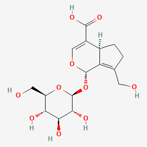 molecular formula C16H22O10 B12407203 Arborescosidic acid 