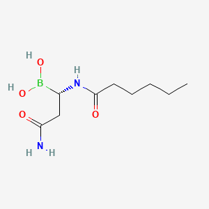 molecular formula C9H19BN2O4 B12407659 MRV03-037 