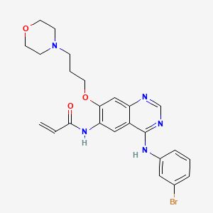 molecular formula C24H26BrN5O3 B1240773 N-[4-[(3-Bromophenyl)amino]-7-(3-morpholinopropoxy)quinazoline-6-yl]acrylamide 