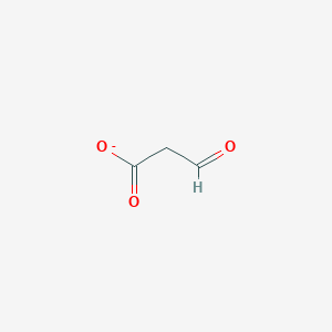 molecular formula C3H3O3- B1240783 3-Oxopropanoate 
