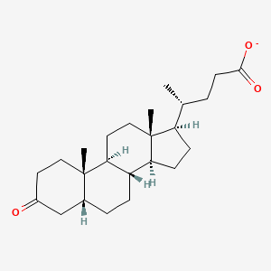 molecular formula C24H37O3- B1240788 3-Oxo-5beta-cholanate 