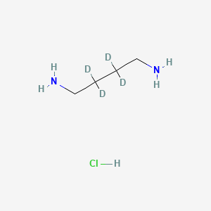 molecular formula C4H13ClN2 B12408532 1,4-Butane-2,2,3,3-d4-diamine, dihydrochloride (9CI); 1,4-Butane-2,2,3,3-d4-diamine 2HCl; 1,4-Butane-2,2,3,3-d4-diamine dihydrochloride; 1,4-Diaminobutane-2,2,3,3-D4 dihydrochloride; 1,4-Diaminobutane-d4 dihydrochloride; Putrescine-d4 dihydrochloride 
