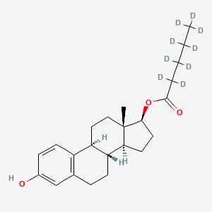 molecular formula C23H32O3 B12410040 Estradiol 17-Valerate-d9 