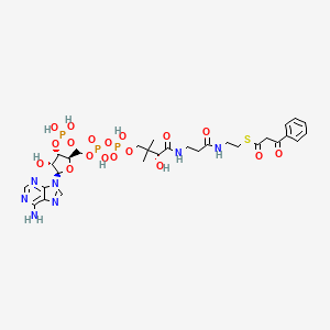 molecular formula C30H42N7O18P3S B1241131 benzoylacetyl-CoA 