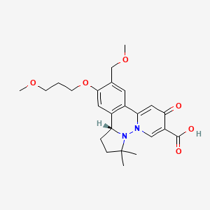 molecular formula C24H30N2O6 B12411762 Hbv-IN-19 