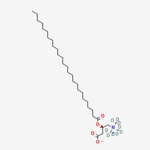 molecular formula C33H65NO4 B12411927 C26 D,L-Carnitine-d9 