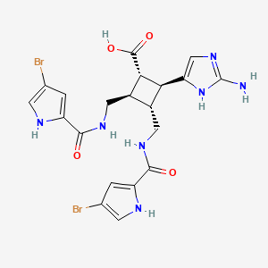 molecular formula C20H21Br2N7O4 B1241268 (1S,2S,3R,4R)-2-(2-amino-1H-imidazol-5-yl)-3,4-bis[[(4-bromo-1H-pyrrole-2-carbonyl)amino]methyl]cyclobutane-1-carboxylic acid 