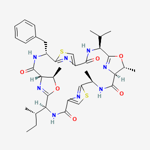 molecular formula C37H46N8O6S2 B1241281 Patellamide C 