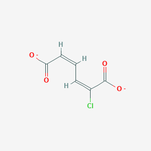 molecular formula C6H3ClO4-2 B1241311 2-Chloro-cis,cis-muconate 