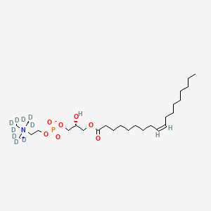molecular formula C26H52NO7P B12414405 L-Alpha-Lysophosphatidylcholine,oleoyl-d9 