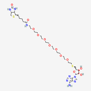 molecular formula C36H60N8O12S2 B12414773 Biotin-PEG7-C2-S-Vidarabine 