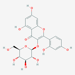 molecular formula C21H20O12 B12414939 Morin 3-O-|A-D-glucopyranoside 