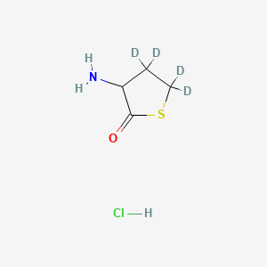 molecular formula C4H8ClNOS B12415198 DL-Homocysteine thiolactone-d4 (hydrochloride) 