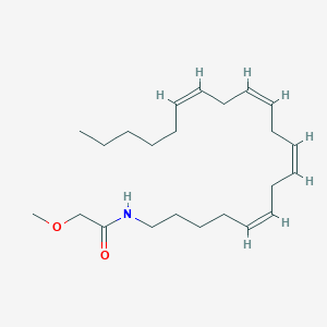 molecular formula C23H39NO2 B1241534 N-[(5Z,8Z,11Z,14Z)-icosa-5,8,11,14-tetraenyl]-2-methoxyacetamide 