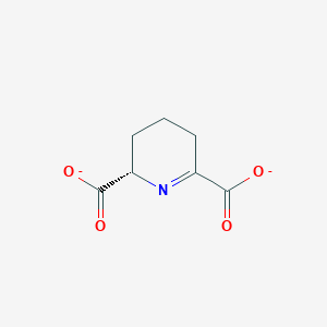 molecular formula C7H7NO4-2 B1241584 (S)-2,3,4,5-tetrahydrodipicolinate 