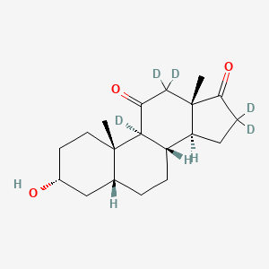 molecular formula C19H28O3 B12416076 11-Oxo etiocholanolone-d5 
