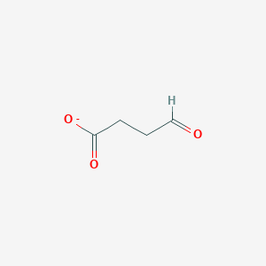 molecular formula C4H5O3- B1241810 4-Oxobutanoate 