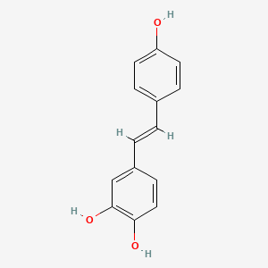molecular formula C14H12O3 B1241824 4-(4-Hydroxystyryl)benzene-1,2-diol 