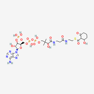 molecular formula C28H44N7O19P3S B1241870 2-hydroxy-6-oxocyclohexane-1-carbonyl-CoA 