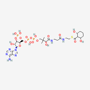 2,6-Dihydroxycyclohexane-1-carbonyl-CoA