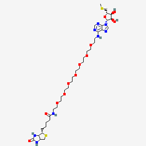 molecular formula C37H62N8O12S2 B12419458 Biotin-PEG7-C2-NH-Vidarabine-S-CH3 