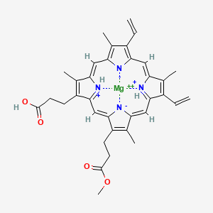 molecular formula C35H36MgN4O4+2 B1241959 Magnesium protoporphyrin monomethyl ester 