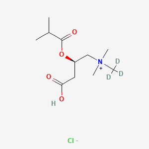 molecular formula C11H22ClNO4 B12419807 Isobutyryl-L-carnitine-d3 (chloride) 