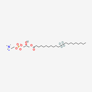 molecular formula C30H62NO7P B12420024 22:0 Lyso-PC-d4 