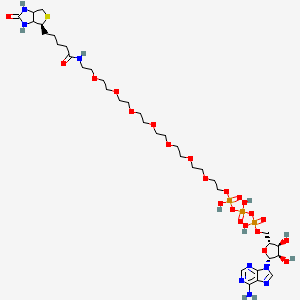 molecular formula C36H63N8O22P3S B12420061 ATP-PEG8-Biotin 