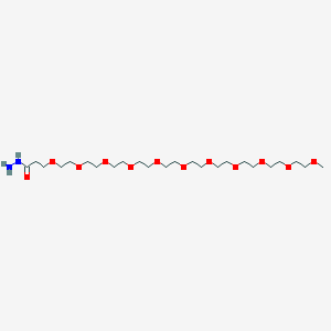 molecular formula C24H50N2O12 B12420074 m-PEG11-Hydrazide 