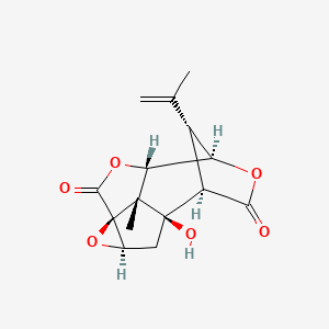 molecular formula C15H16O6 B1242016 N-(2-Methoxyphenyl)maleamicacid 