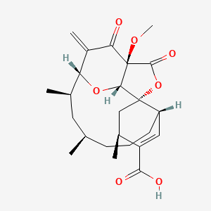molecular formula C24H32O7 B1242137 Chrolactomycin 